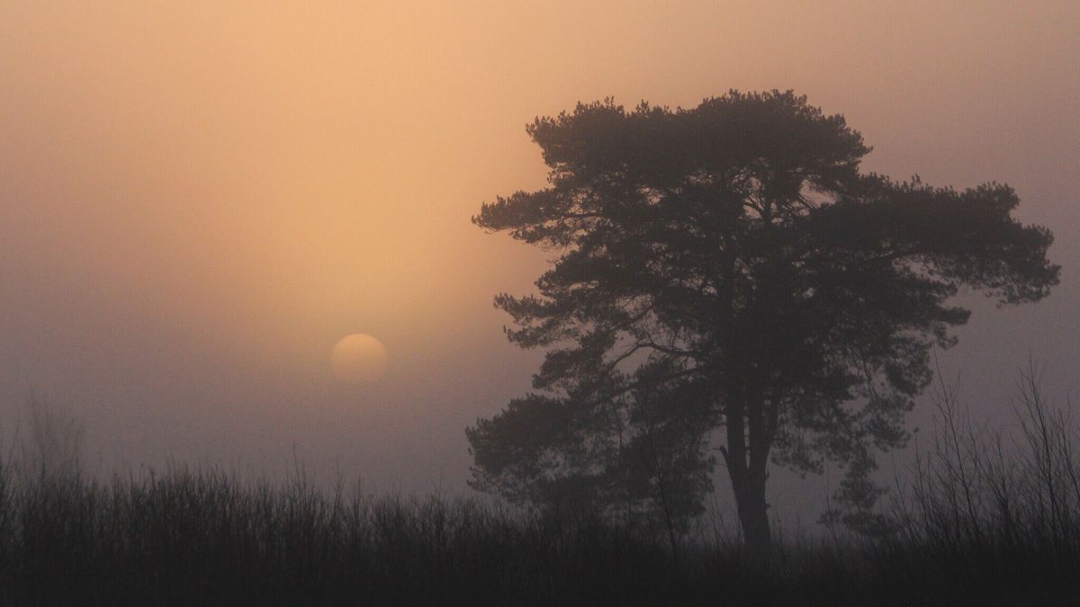 Mysterieus Balloërveld tijdens zonsopkomst