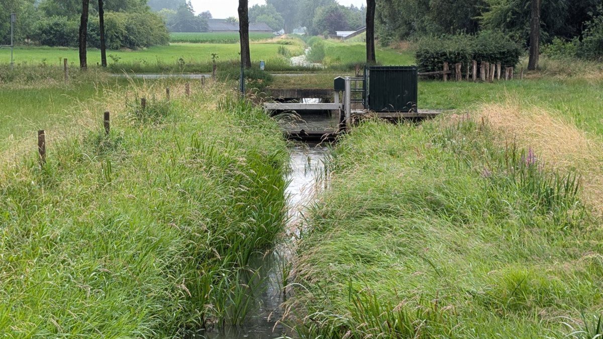 Droogte van afgelopen week drukt waterstanden in Amersfoort en Leusden omlaag