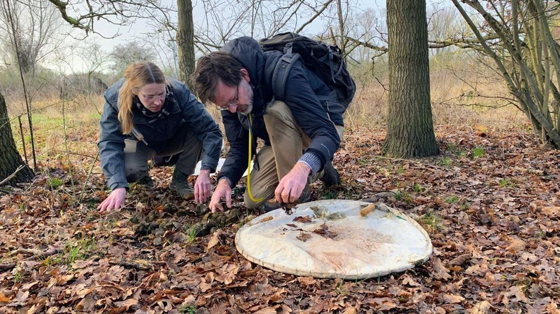 Op zoek naar kevers in de Gelderse Poort