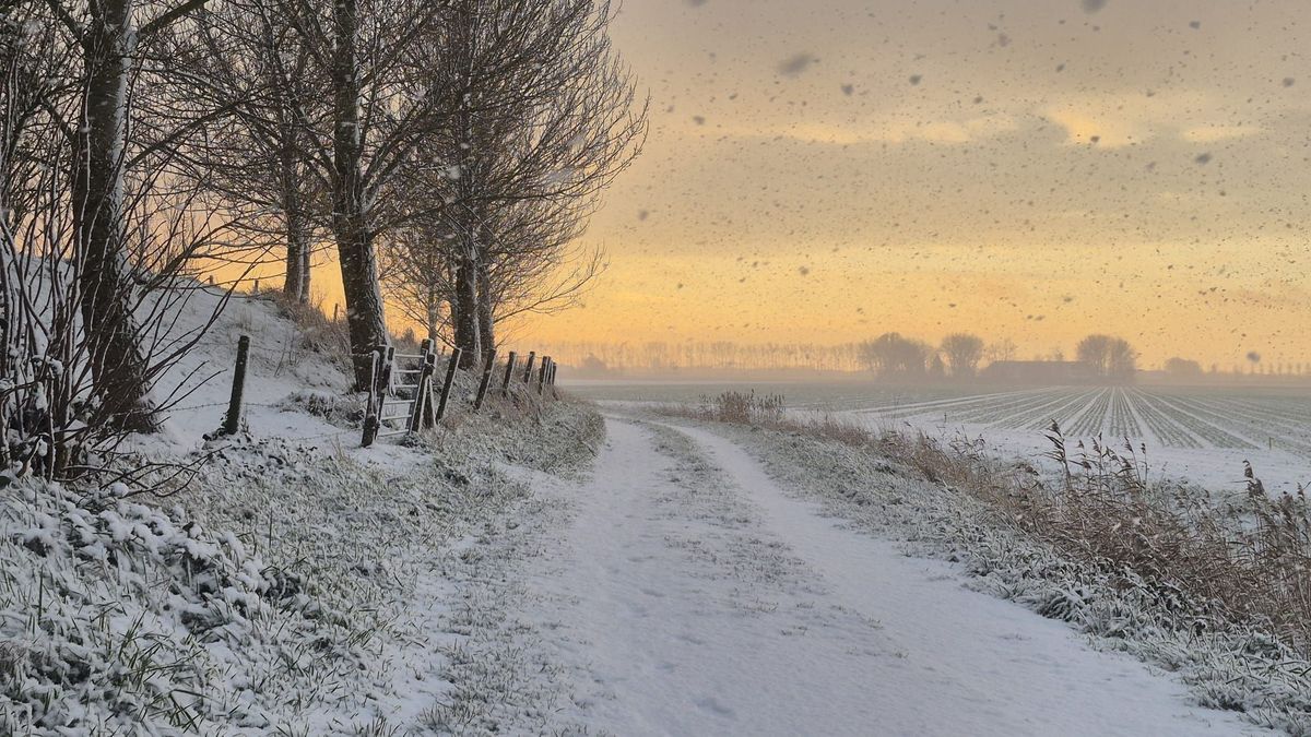 LIVE: Zeeland kleurt wit door sneeuw, KNMI geeft code oranje
