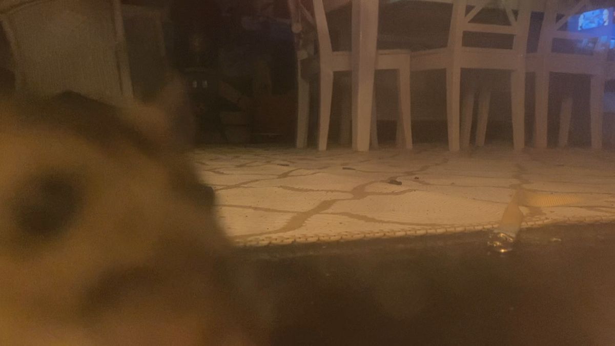 Rattenoverlast in Moerwijk