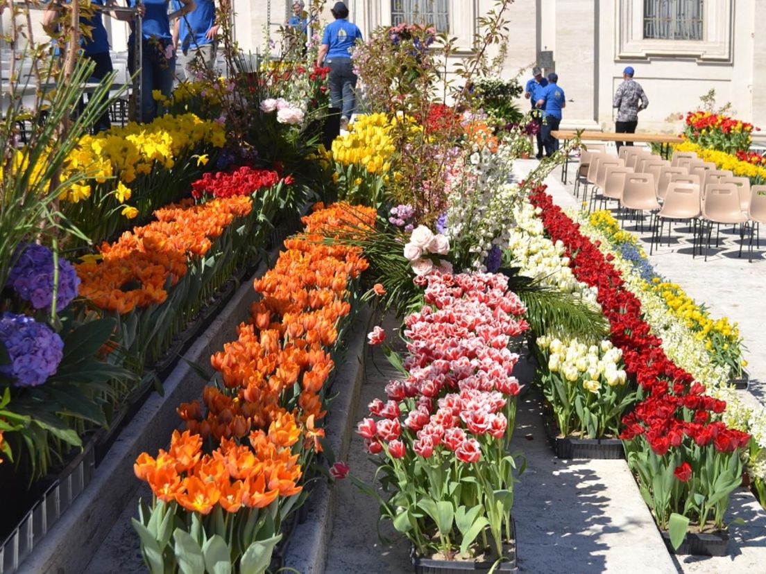 De bloemenzee in 2022 op het Vaticaanplein