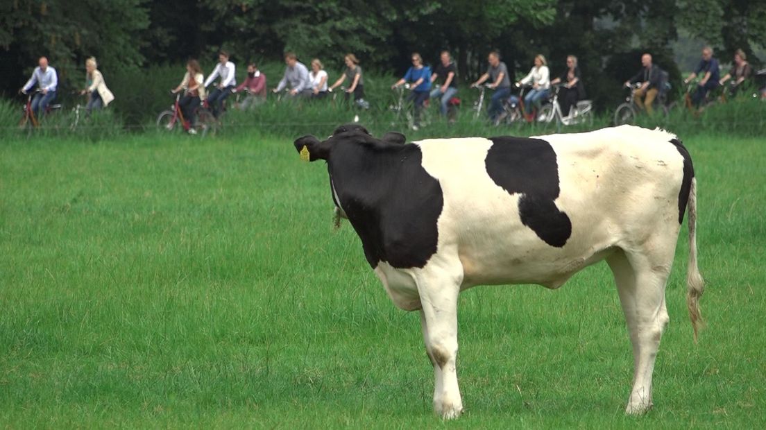 De enquêtecommissie trekt bekijks rondom Westerwijtwerd