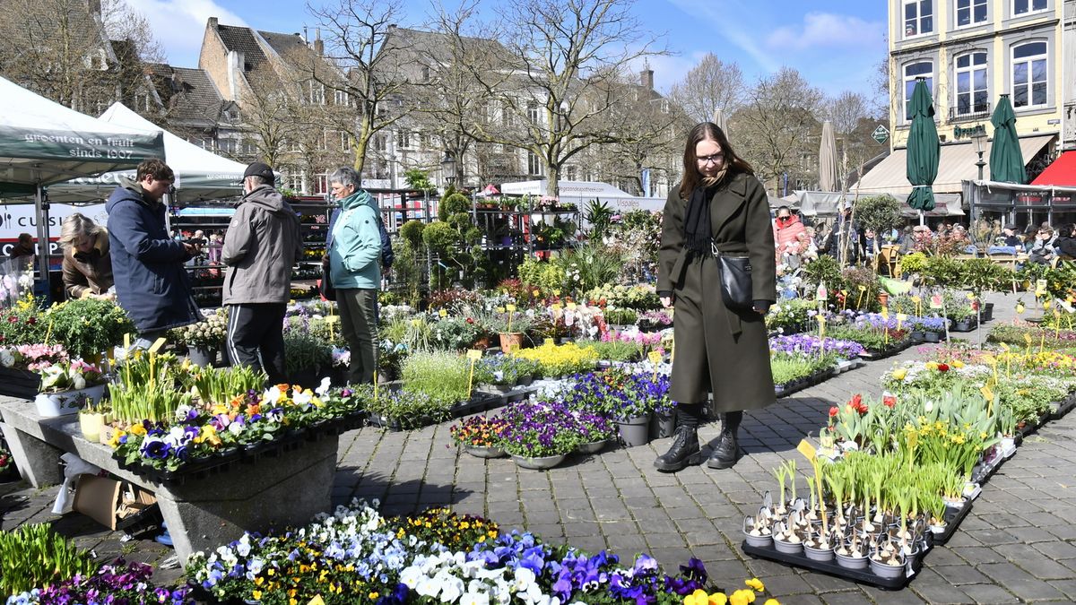 Limburg Kiekt: Meterik, Altweerterheide, Maastricht en...