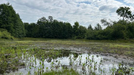 Verbod op oppompen grondwater rond natuurgebieden in Haaksbergen Home
