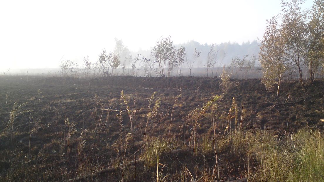 Brand Aamsveen