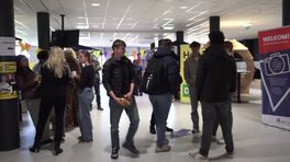 Alfa's verkiezingsfestival