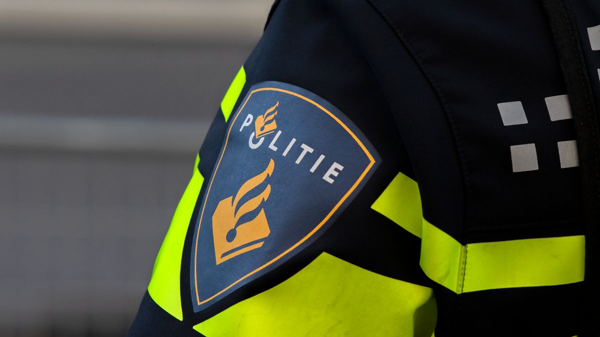 Politiehonden vinden verdachte in hoge boom