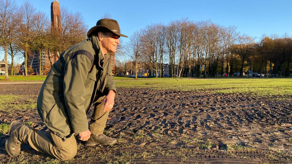 Boswachter Mark Kras bekijkt het aangetaste Malieveld I