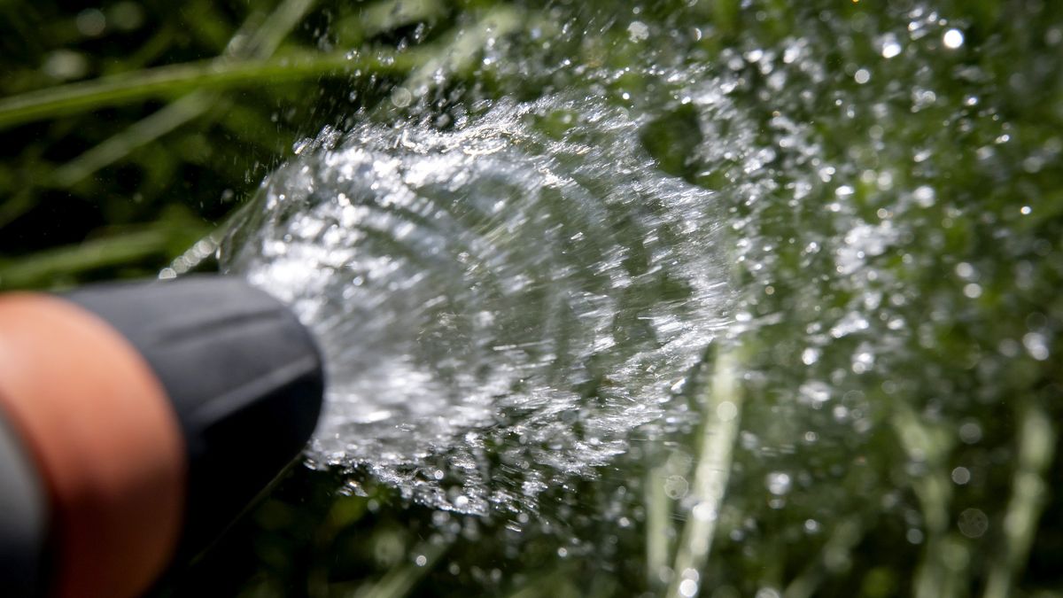 Oproep aan alle huizenbezitters om tuin niet meer te sproeien met drinkwater, óók korter douchen
