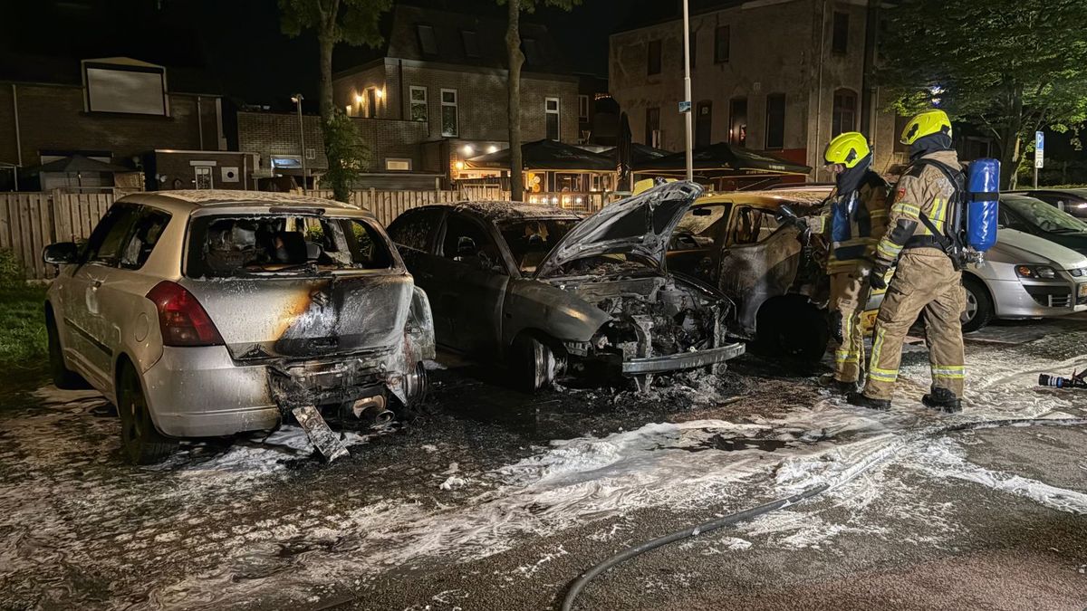 Drie auto's in vlammen opgegaan in Terneuzen