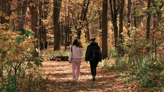 Tirza werd maatje voor slachtoffers van huiselijk geweld: ‘Ik miste zelf een luisterend oor’