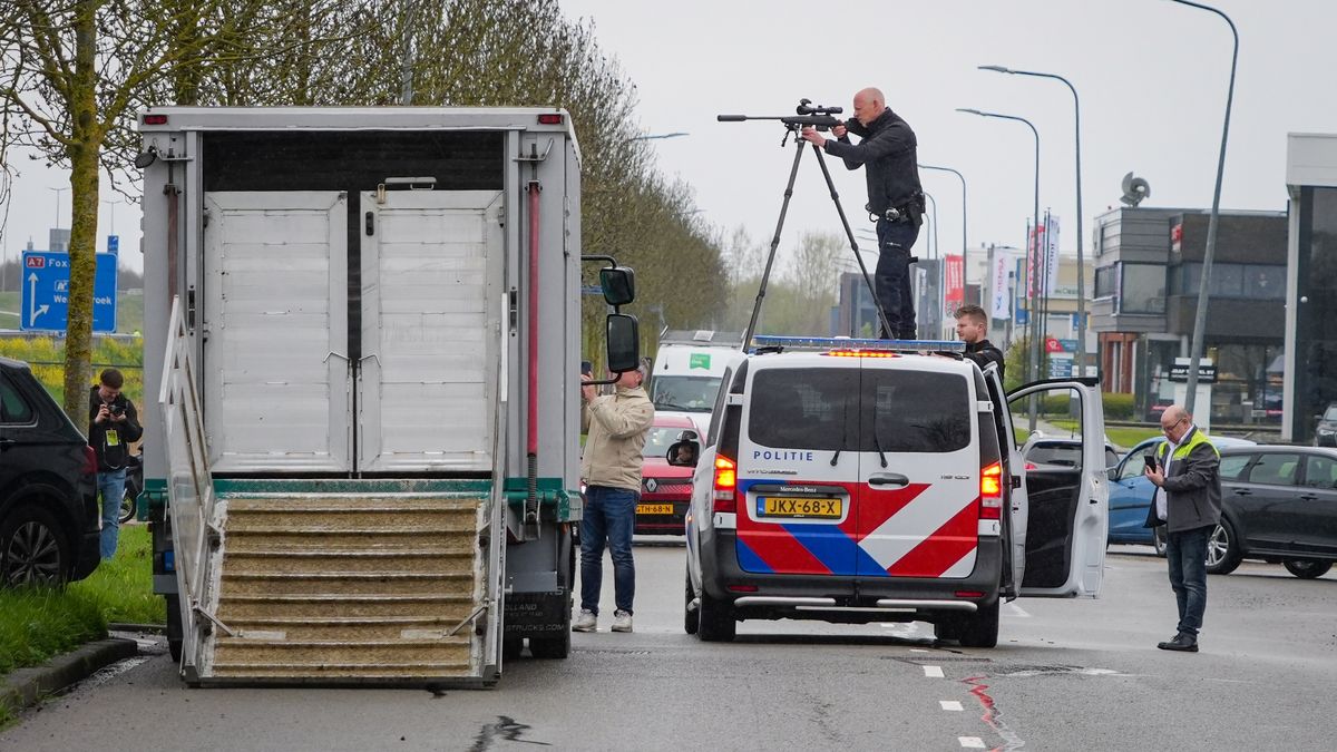 112-nieuws: Politie schiet loslopende koe dood • Steekpartij in Stad