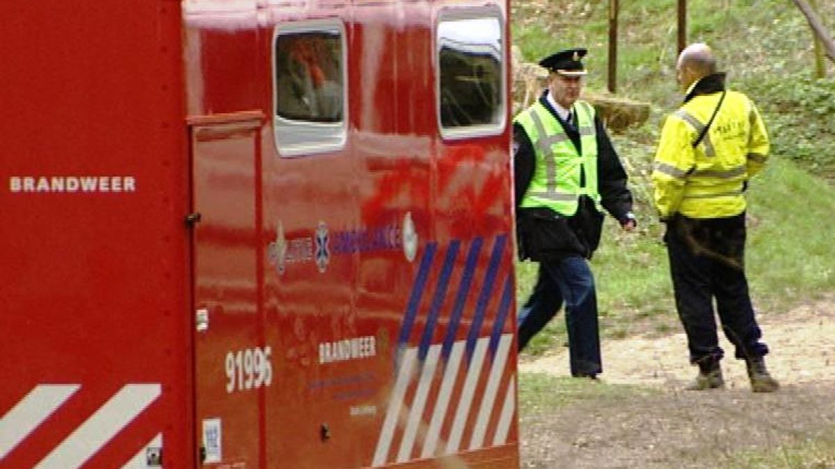 Schedel in bos Ulestraten uit Tweede Wereldoorlog