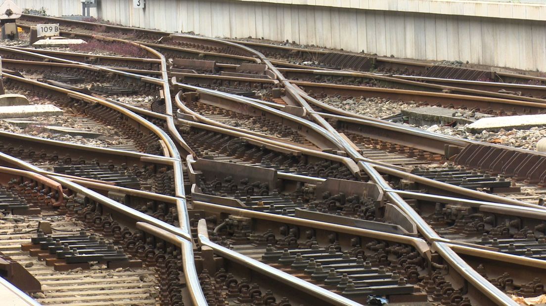 Trein botst op boom tussen Raalte en Heino