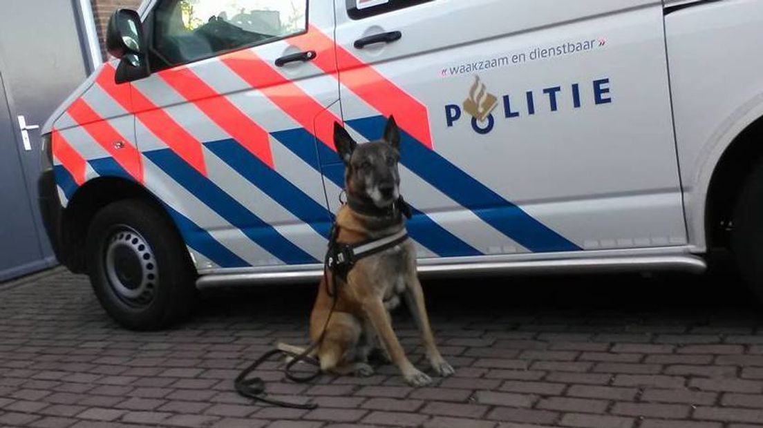 Politiehond vindt inbreker in sloot