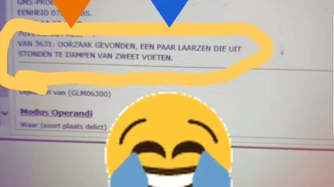 De conclusie na het onderzoek.