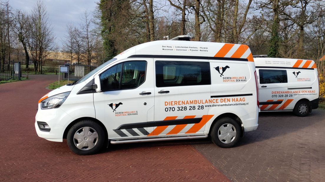 Vanwege de coronacrisis heeft de Dierenambulance het iets rustiger dan anders. I