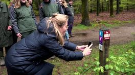 QR-codes nu ook in het bos: Staatsbosbeheer opent speciale wandelroutes