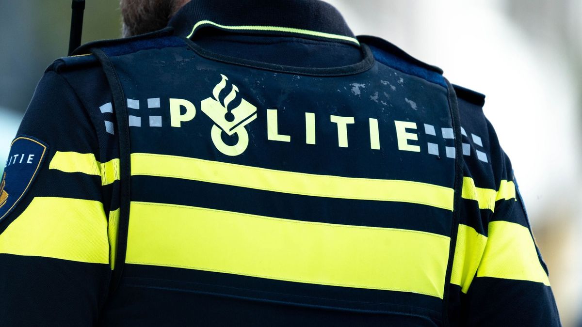 Persoon lichtgewond bij steekincident Minnertsga, verdachte is opgepakt