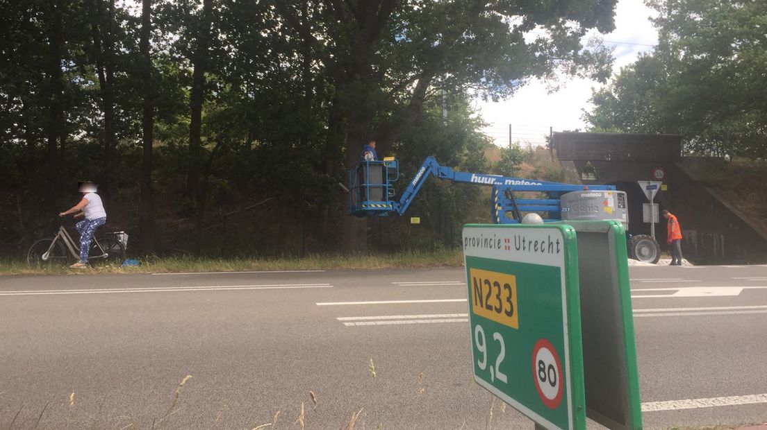 Eikenprocessierupsbestrijding in Achterberg, zaterdagmiddag 6-7-2019.