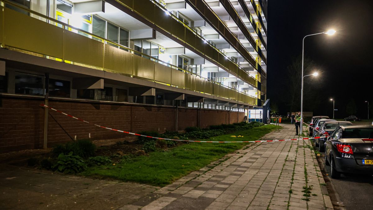 Behandeling zaak over dodelijk steekincident Sneek uitgesteld