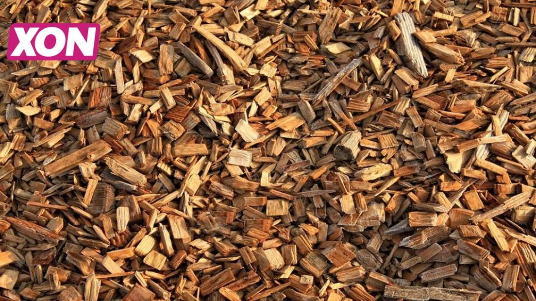 In een biomassacentrale worden houtsnippers verwerkt