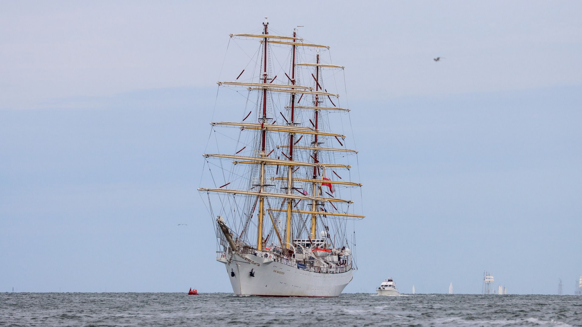 De Dar Młodzieży, het Poolse schip dat als eerste de haven gaat verlaten