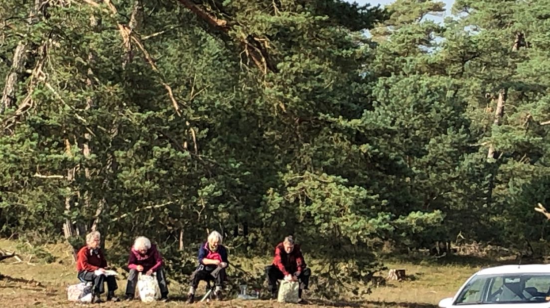 Blije reacties bij organisaties op en rond Nationaal Park De Hoge Veluwe nu het park genoemd is als een van de topattracties door de toonaangevende reisgids Lonely Planet. De gids noemt de schilderachtige landschappen, museum Kröller-Müller met de schilderijen van van Gogh en het grote wild redenen voor reizigers om komend jaar zeker een bezoek te brengen aan de Hoge Veluwe.