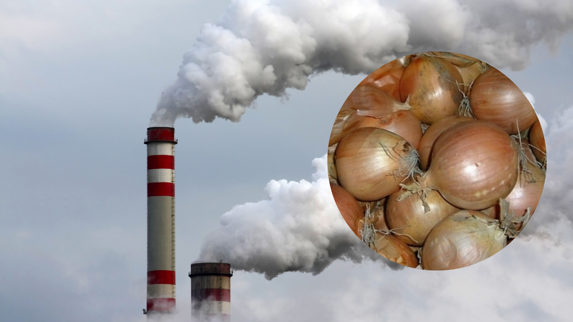 Stankmysterie in Sas van Gent, waar al dagen een penetrante geur van rotte uien heerst