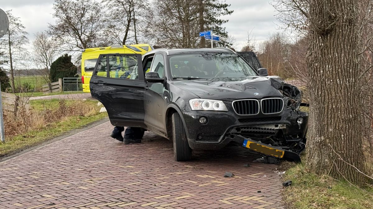 Auto botst tegen boom in Hurdegaryp | BMW's doelwit van dieven in Workum