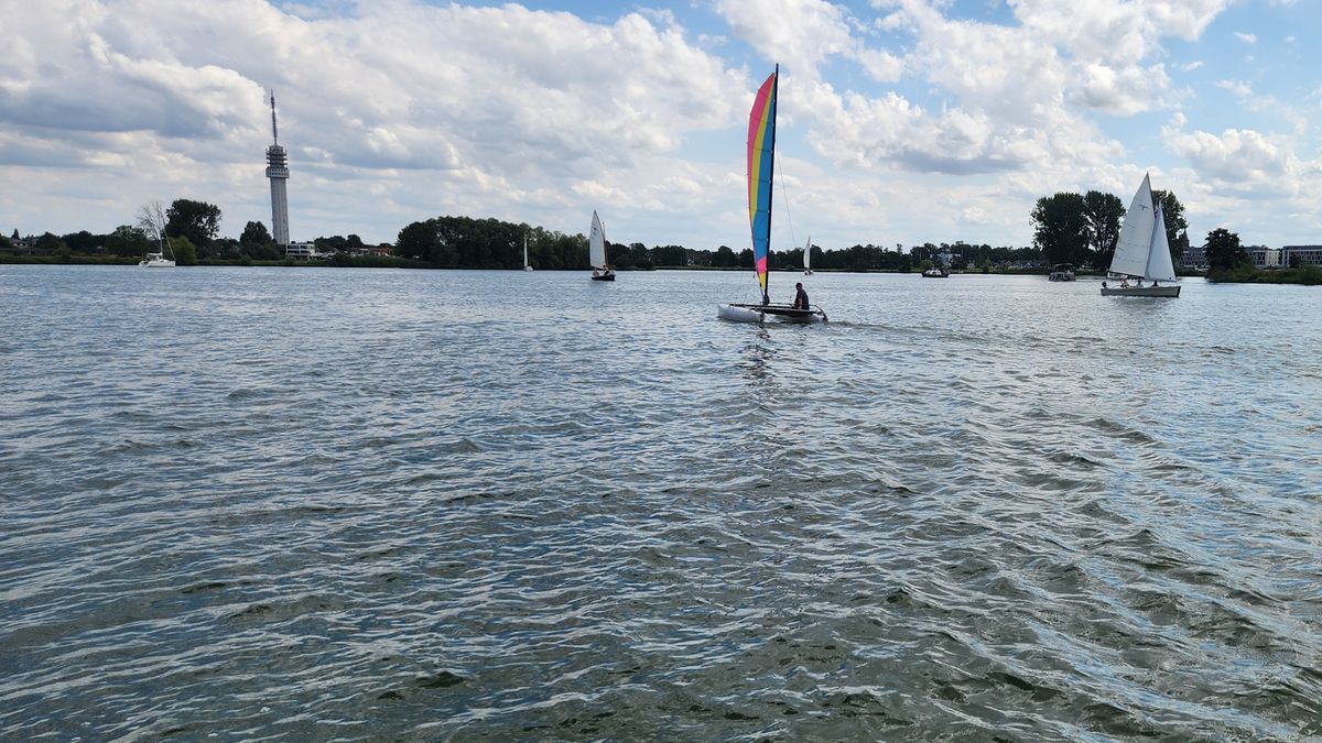 Waarschuwing voor blauwalg op acht Limburgse stranden