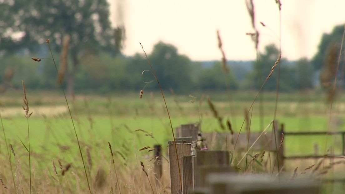 Anholt is voor Joop Suelmann het mooiste plekje van Drenthe (Rechten: RTV Drenthe/Jeppe Oostenga)