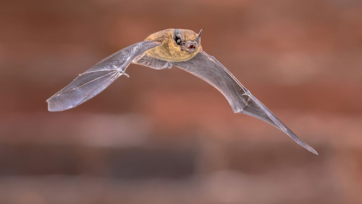 Zin om naar buiten te gaan? Dit is er te doen in de Drentse natuur