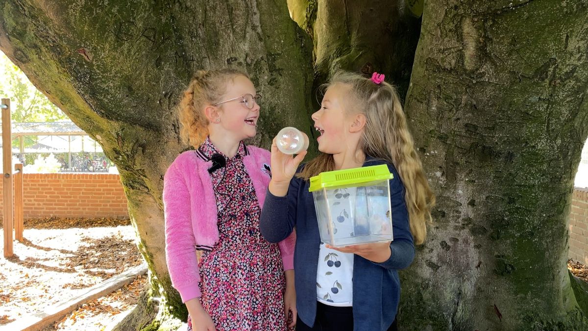 Basisschool in Wijster neemt een voorproefje op de Kinderboekenweek