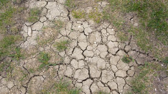 Waterschap Limburg kondigt code rood aan vanwege droogte Nieuws