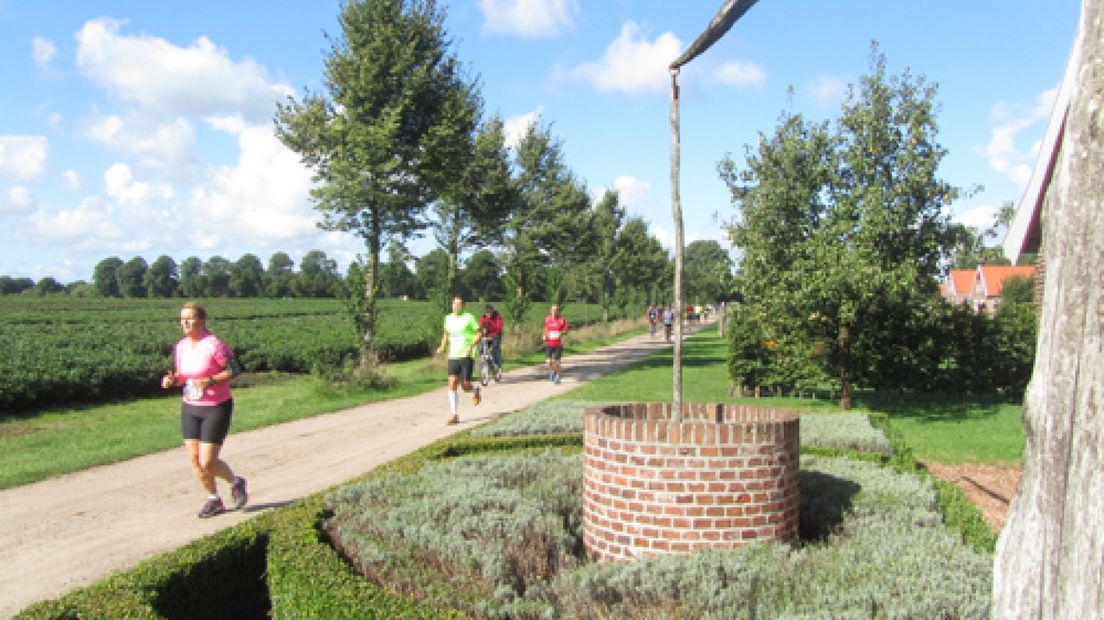 Marathon tussen de koeien en schapen