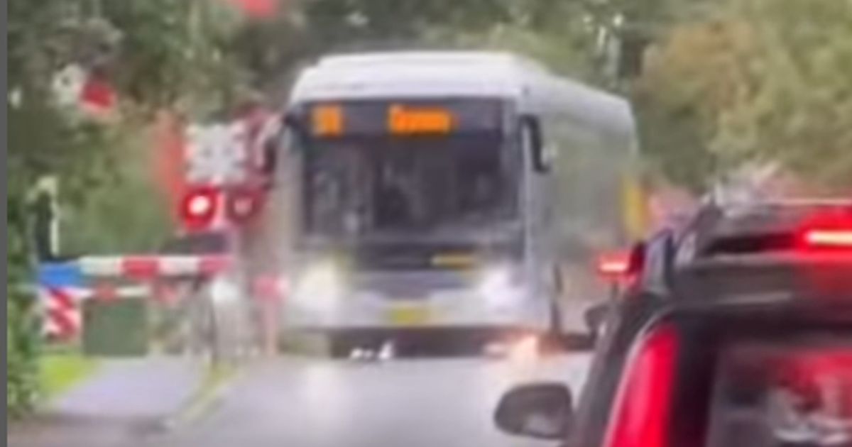 Qbuzz starts investigation: bus slalom past closed obstacles at railway crossing