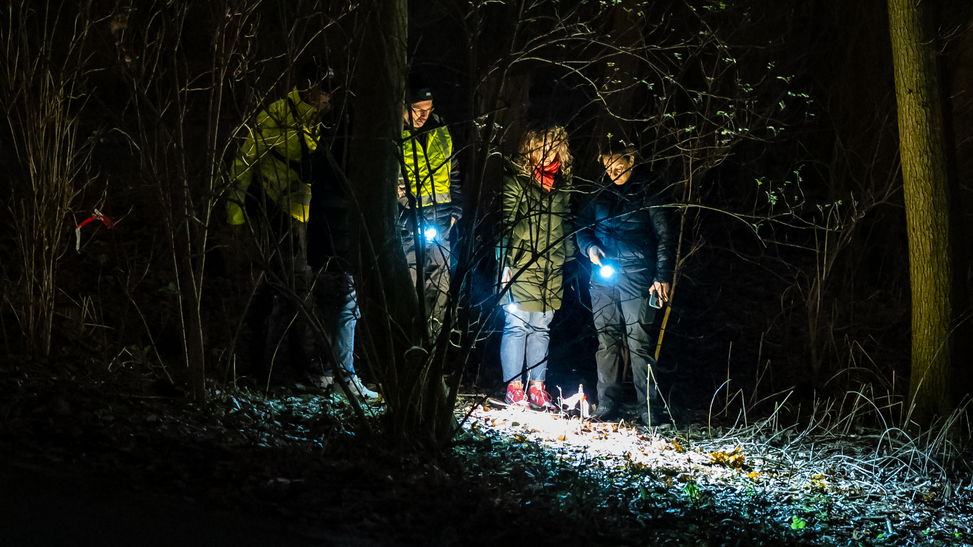 040042ee-4e80-35e2-b2fe-a641195bf9b4.jpg?width=1104&height=828&aspect_ratio=1104:828&cb=321a25955d85bca33d21bf577c53dd47