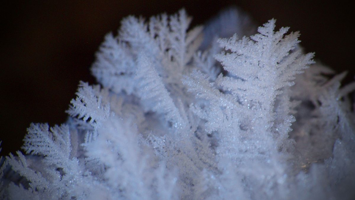 Nergens in Nederland was het kouder dan in Nieuw Beerta: -11,5 graden