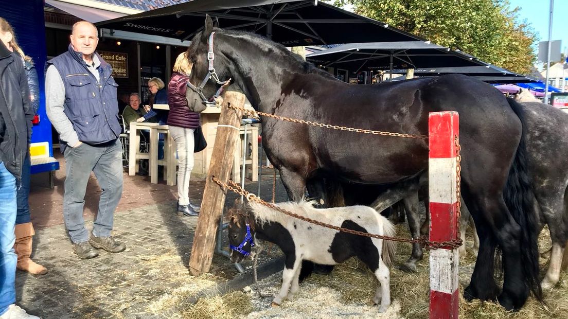Aanvoerkosten: vijf euro voor een pony, tien voor een paard (Rechten: Marjolein Knol / RTV Drenthe)