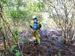 Grote natuurbrand uitgebroken in Klazienaveen