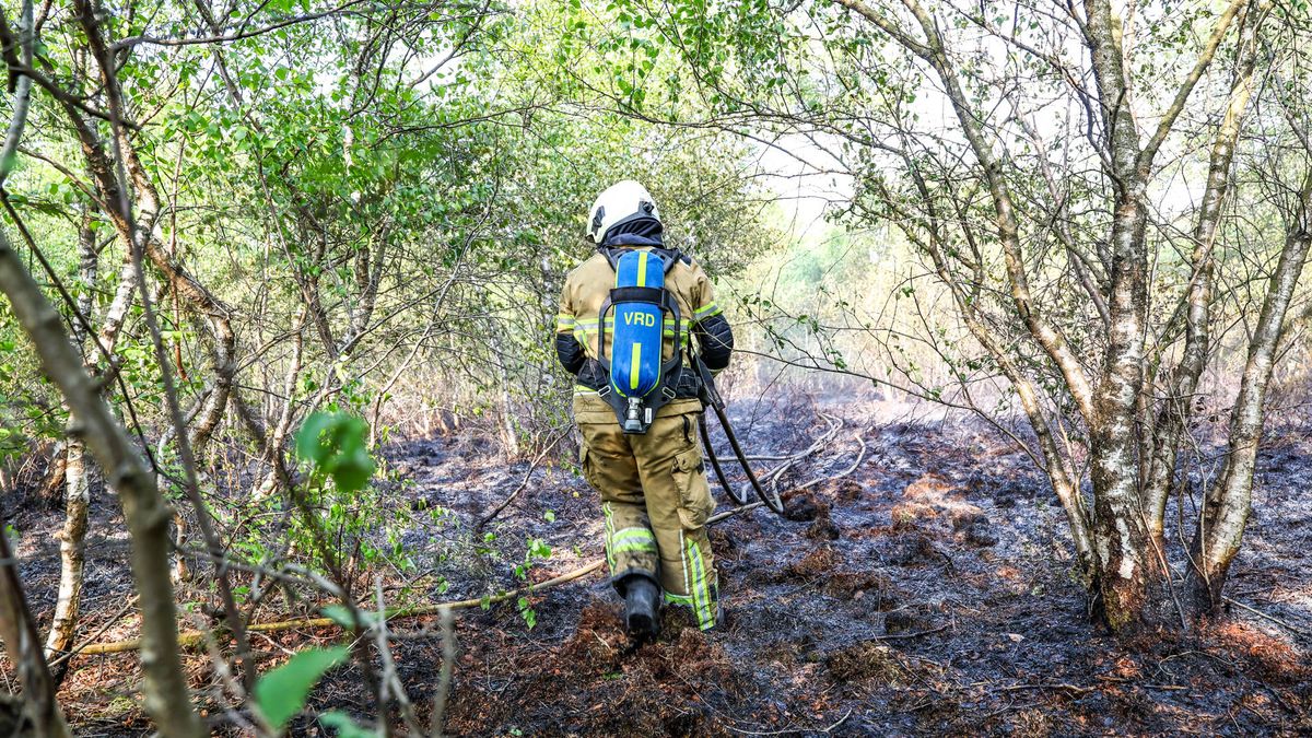 Grote natuurbrand uitgebroken in Klazienaveen