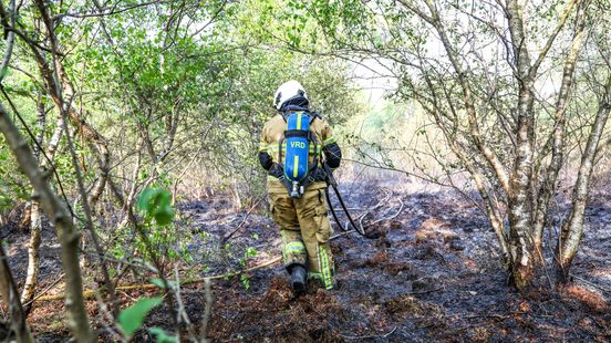 Natuurbrand in Klazienaveen, brandweer heeft vuur onder controle Nieuws