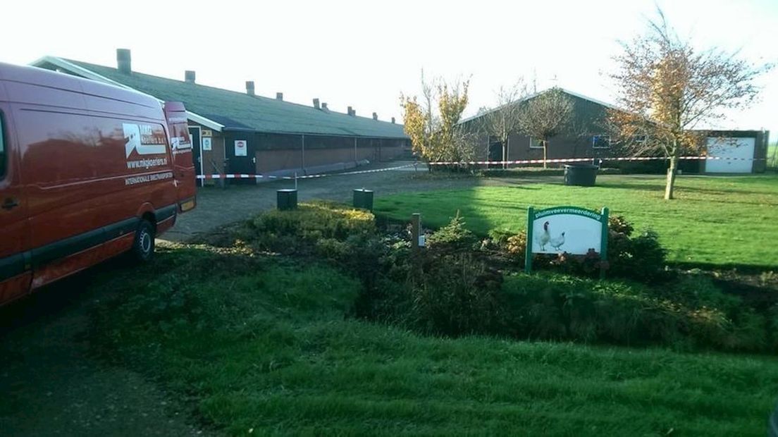 Vogelgriep bij bedrijf Kamperveen