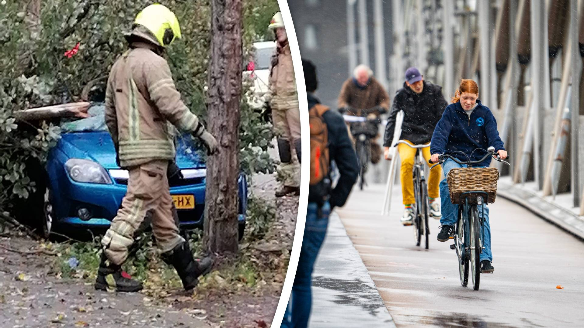 Liveblog Teruglezen: Zo Raasde Storm Ciarán Donderdag Door De Regio ...