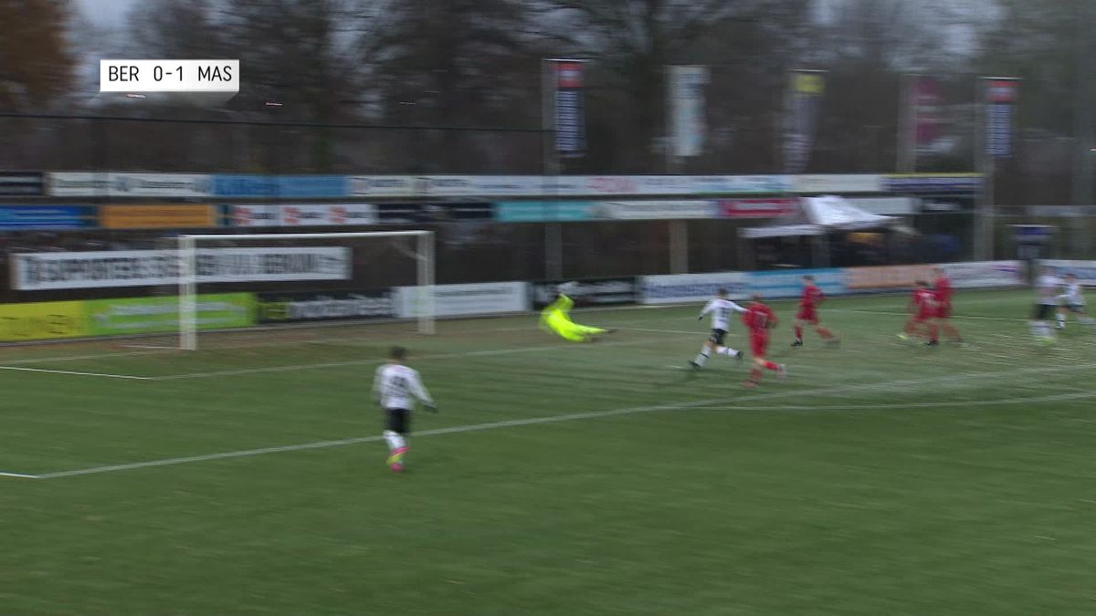 Samenvatting Berkum-MASV