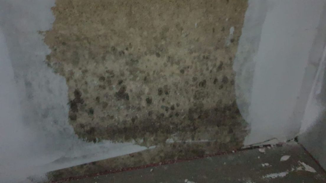 Vocht en schimmel in de woningen aan de Focco Ukenalaan