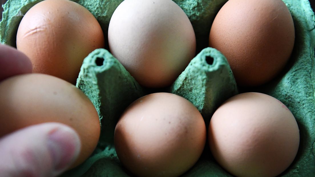 De eieren uit één stal mogen weer verkocht worden (Rechten: EPA / Andy Rain)