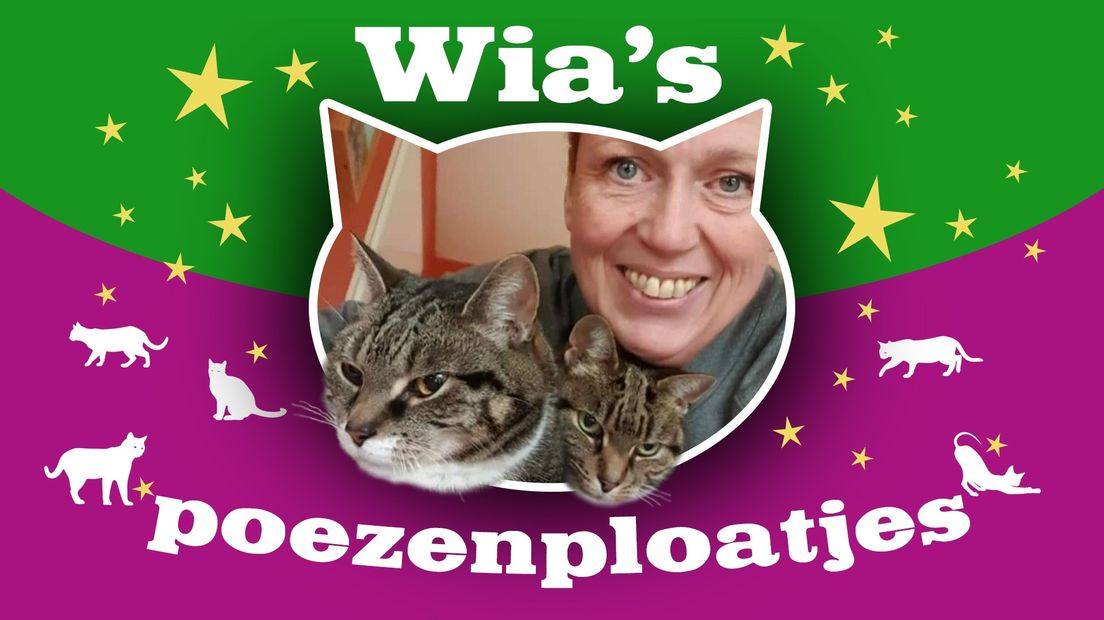 Wia' eigen poezenrubriek in Twij Deuntjes